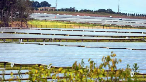 Apple, altri 220 acri nel North Carolina per gli impianti solari