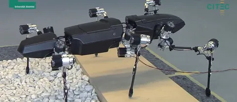 Hector, primi passi dell'insetto stecco robot