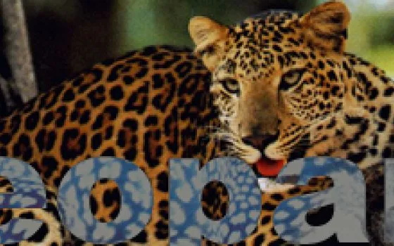 Sono queste le feature di Leopard?