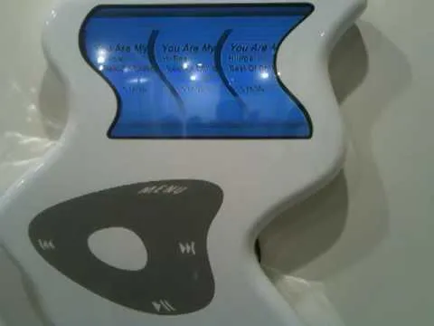 World's Largest / Weirdest Ipod?