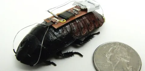 Kinect per guidare gli scarafaggi cyborg