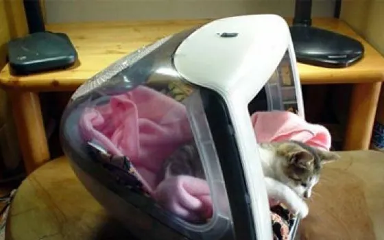 iCat?