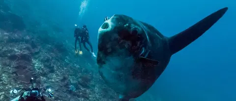 Street View nelle profondità degli oceani
