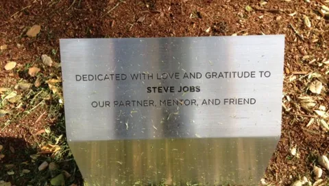 Un albero dedicato a Steve Jobs nel Campus Pixar