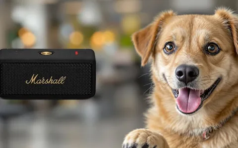 Marshall Emberton II: speaker top di gamma a meno di metà prezzo (-55%)