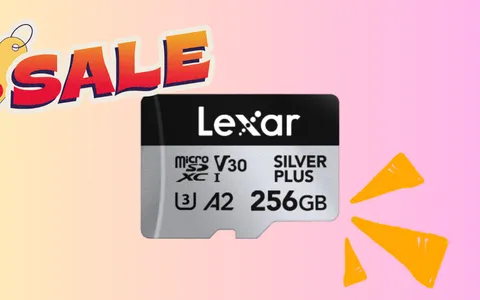 Scheda Micro SD Lexar: 256 GB di spazio extra a soli 28€ su Amazon
