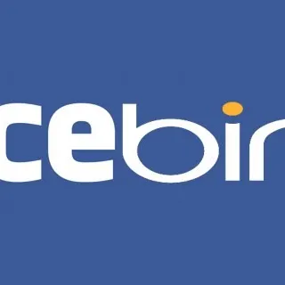 Dove finisce Facebook, inizia Bing