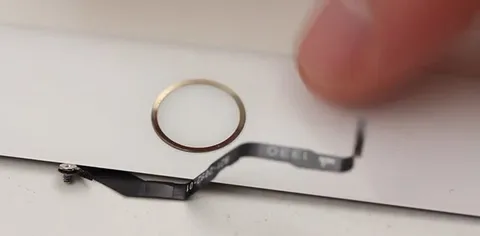 Touch ID su iPad 5 tra evidenze e dubbi