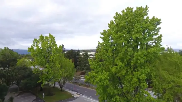 Apple Park - Volo in drone