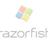 Microsoft, Razorfish vendesi
