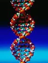 Genetree: social network con analisi del tuo DNA