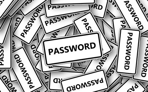 Salvare le password in sicurezza non è più un problema: basta usare il software giusto