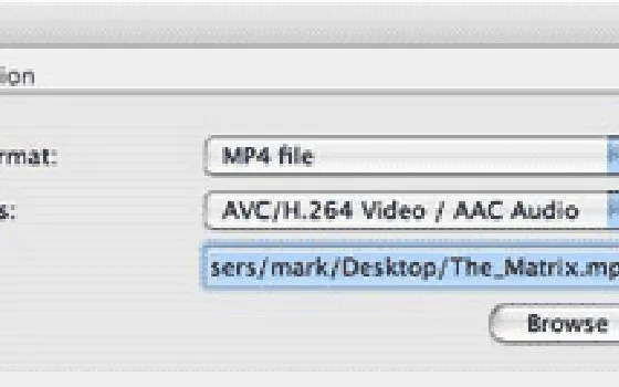 iPod Video DVD ripping