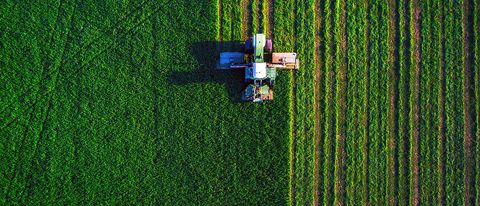 X: machine learning al servizio dell'agricoltura
