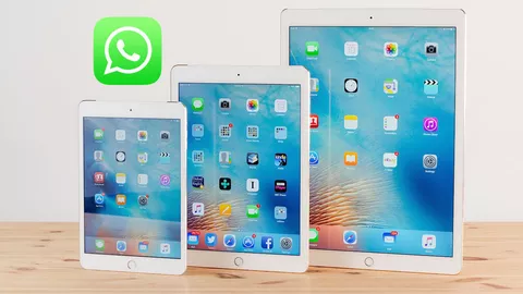 WhatsApp, in arrivo l'app ufficiale per iPad (finalmente)
