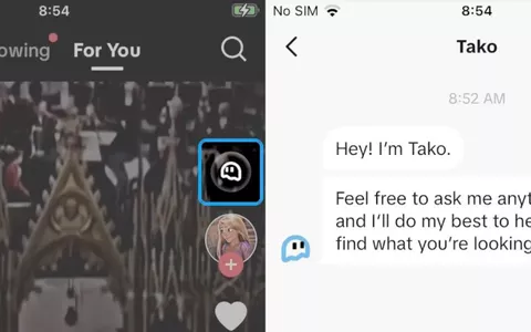 TikTok testa il proprio chatbot AI chiamato 