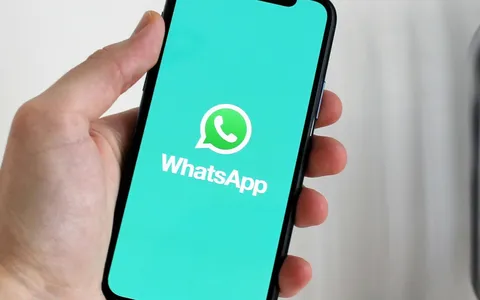 WhatsApp a pagamento: l'ultima proposta per l'app di Meta