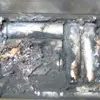 MacBook, prima il fumo e poi l'esplosione