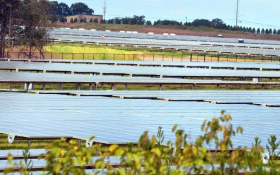 Apple, altri 220 acri nel North Carolina per gli impianti solari