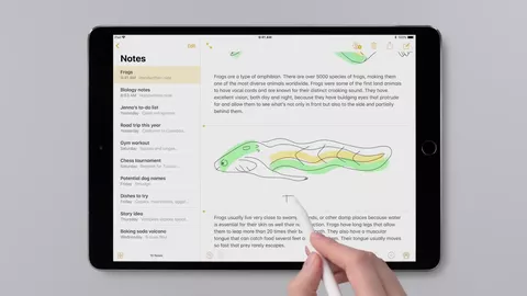 Apple Pencil per scrivere appunti su iPad