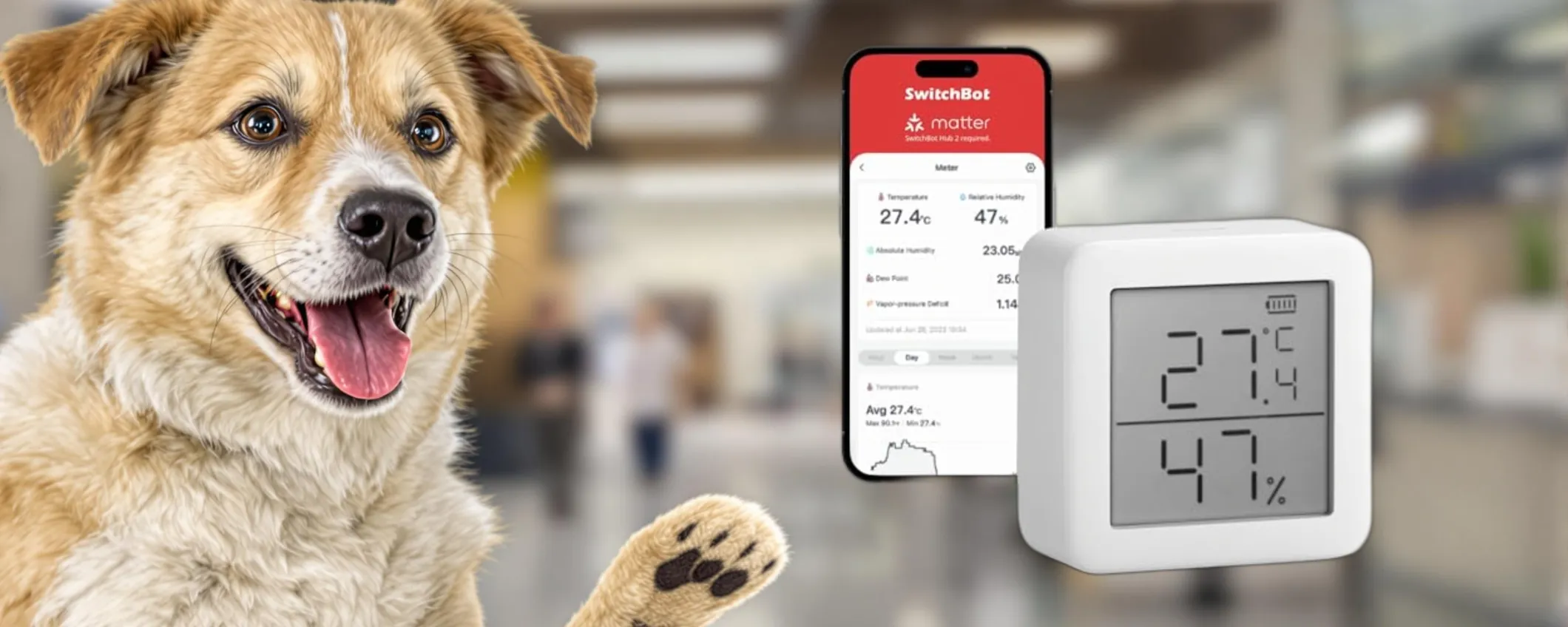 Switchbot termometro igrometro: precisione smart a soli 7,99€!