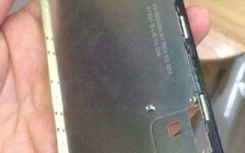 iPhone 6,  la foto della presunta struttura frontale dello smartphone