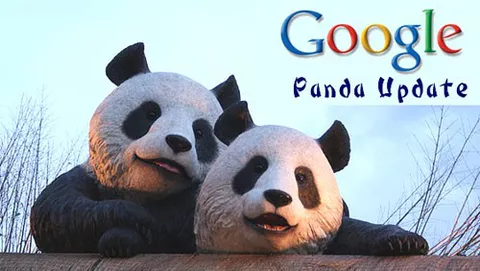 Google Panda 2.5: chi guadagna e chi perde