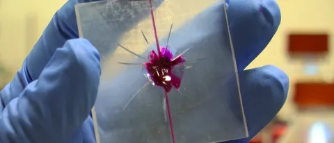 Vascular Delivery: la plastica che si rigenera