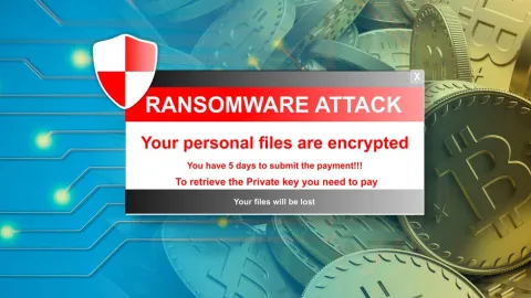 Attacco hacker alla SIAE, rubati 60 GB di dati messi in vendita