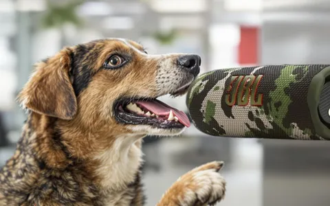 JBL Flip 7: audio di qualità e robustezza in un formato portatile