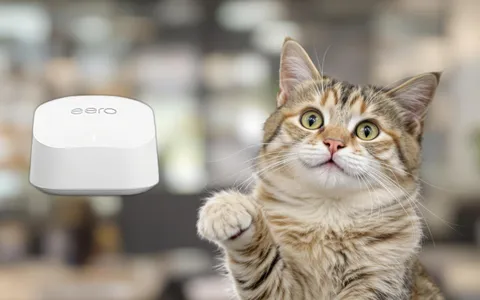 Amazon eero 6+: WiFi a tutta forza con lo sconto TOP