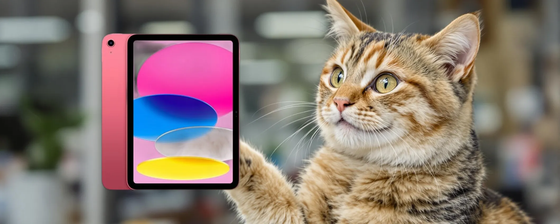 Offerta imperdibile: l'Apple iPad con chip A16 oggi lo paghi pochissimo