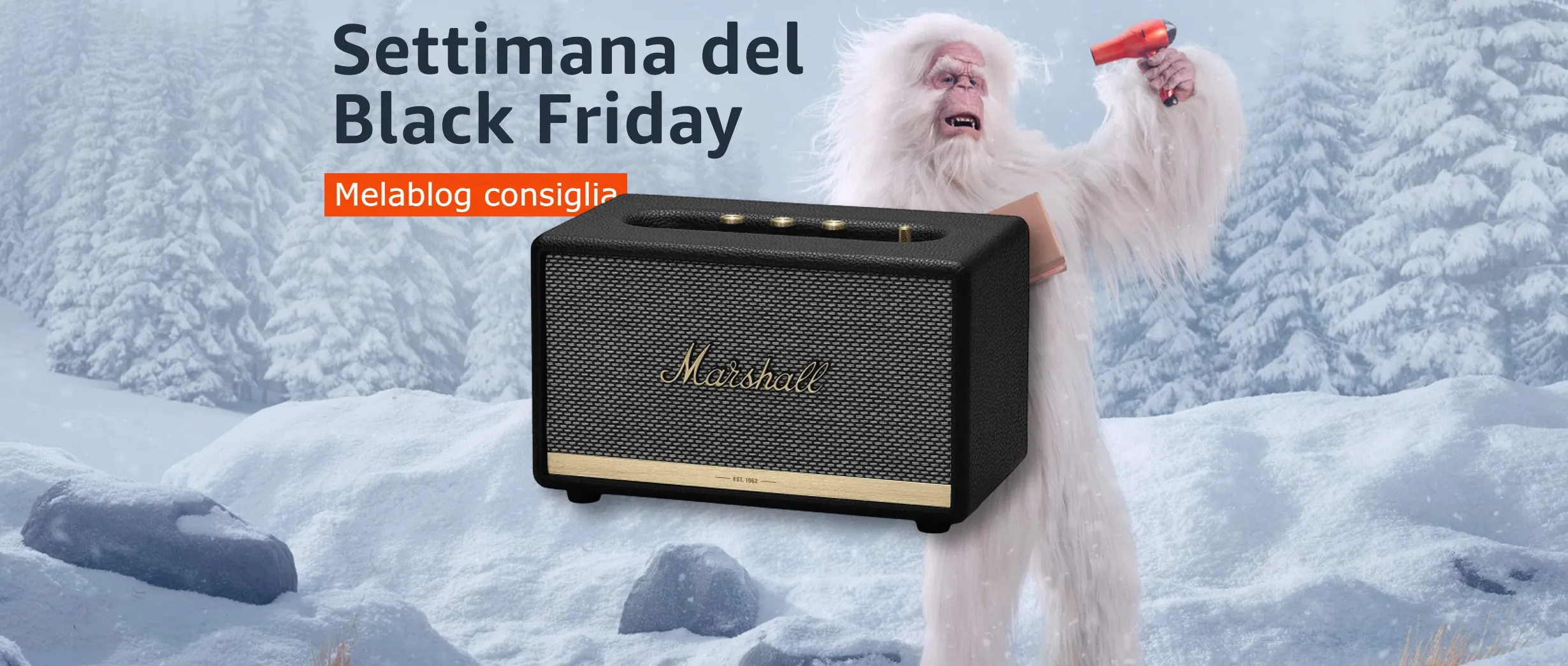 Marshall acton black friday top