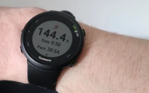Garmin 45 2025 l