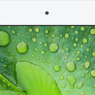 iPad Mini Retina: problemi di persistenza LCD