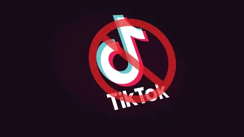 TikTok multato dal governo russo per post su proteste illegali