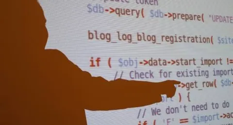 UE, niente copyright per software e API