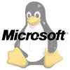 Il pinguino compra 22 brevetti da Microsoft