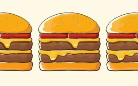 Test del QI, uno degli hamburger è diverso: hai trovato l'errore?