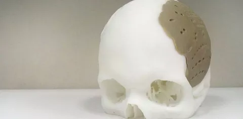 Le stampanti 3D potranno realizzare anche organi
