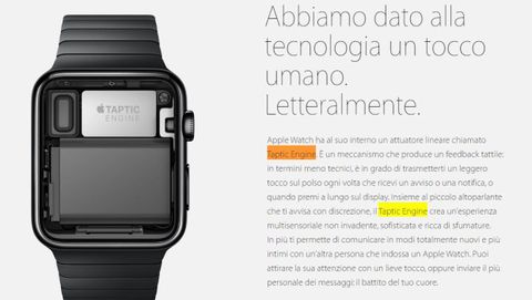 Apple Watch: il Taptic Engine difettoso è la causa della disponibilità limitata