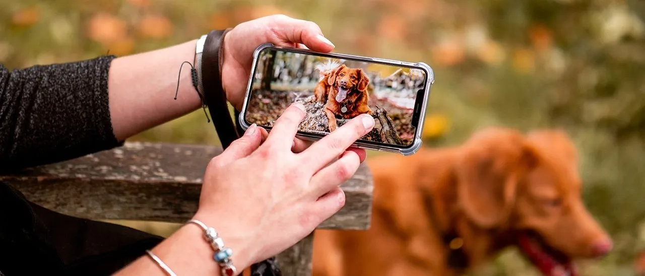 iPhone: fotocamere time-of-flight nel 2020