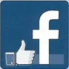Facebook cresce, un like dopo l'altro