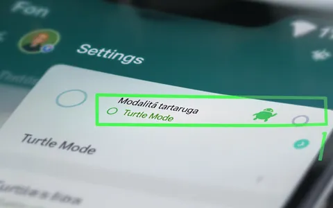 Come attivare la modalità tartaruga su WhatsApp e perché è così popolare