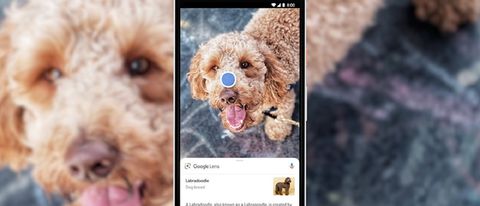 Google Lens arriva sull'app Google per iOS