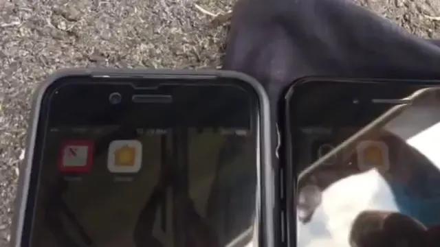 iPhone 7 - Bug Modalità Aereo