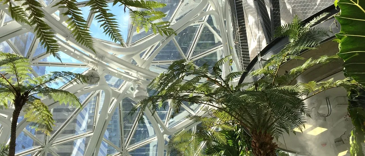 Amazon porta l'ufficio nelle foreste tropicali