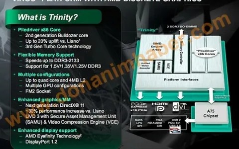 AMD Trinity a marzo: ecco i nomi delle APU