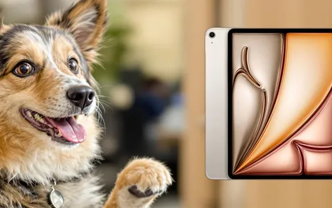 Risparmia più di 100€ sull'Apple iPad Air con chip M3: occasione unica su Amazon