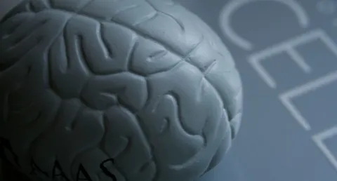 IBM, pronto un chip che simula il cervello umano